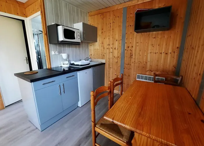 Avec Terrasse - 4 Pers. - Api-1-52-2142 * Desaignes